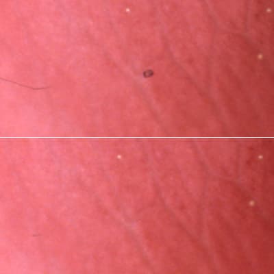 Epson Perfection 4990 Photo