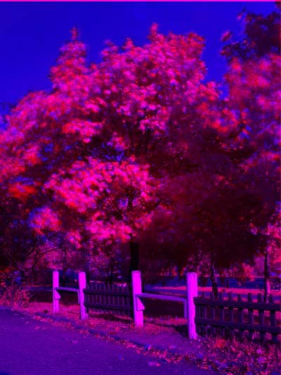 Комбинированный снимок