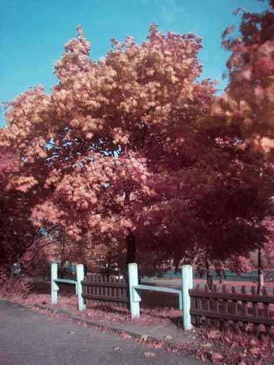 Фильтр Agfa RSX 100