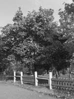 Снимок без фильтра