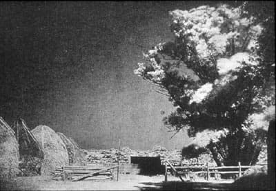 Robert Williams Wood, ИК фотография