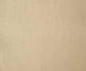 Режим Daylight. Вспышка и зонт Золото