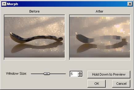 FastStone Image Viewer 