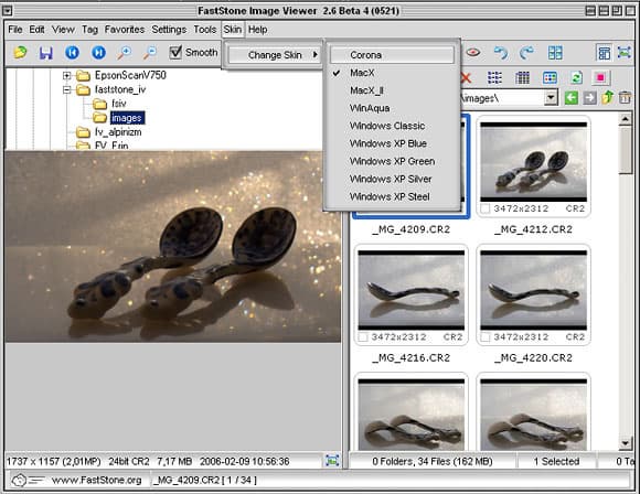 FastStone Image Viewer 