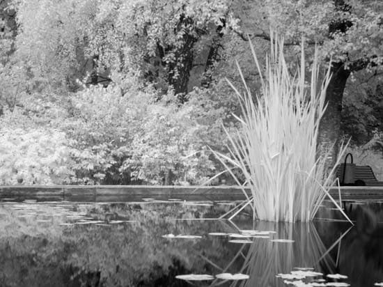 Canon PS G2 Heliopan 715