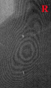 Кольца Ньютона