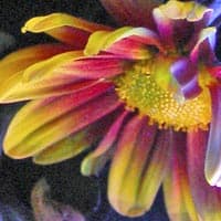 фрагмент, УФ лампа, нормальный режим 