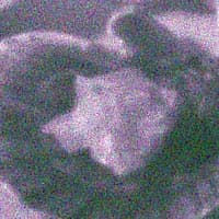 фрагмент, ИК 