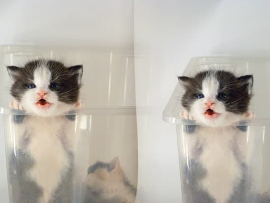 Стереосъемка