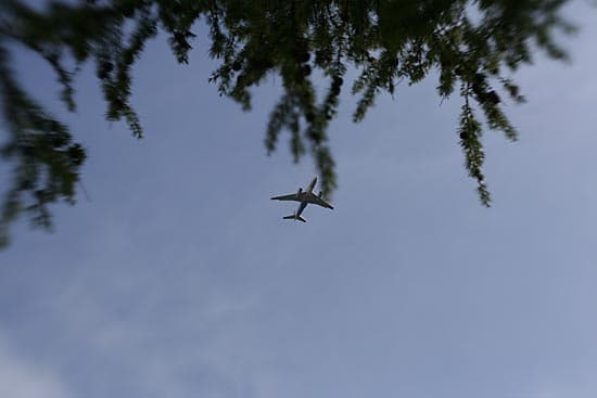 Lensbaby G3, диафрагма f/4