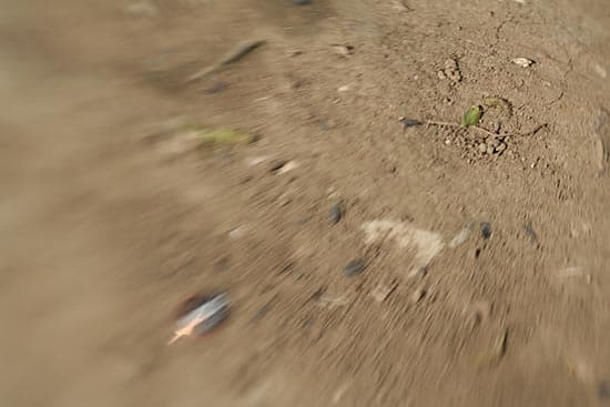 Lensbaby 3G с диафрагмой f/4 «звезда» 