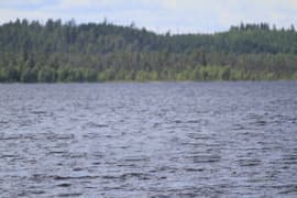 Волшебный ластик