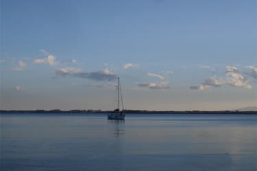 Масштабирование с учетом содержимого