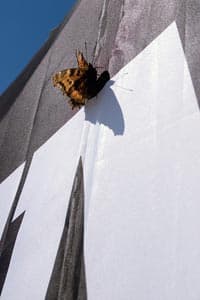 Пилоты отдыхают