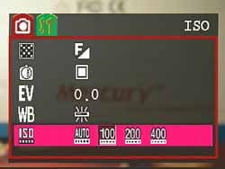 Mercury CyberPix E-550 V Меню