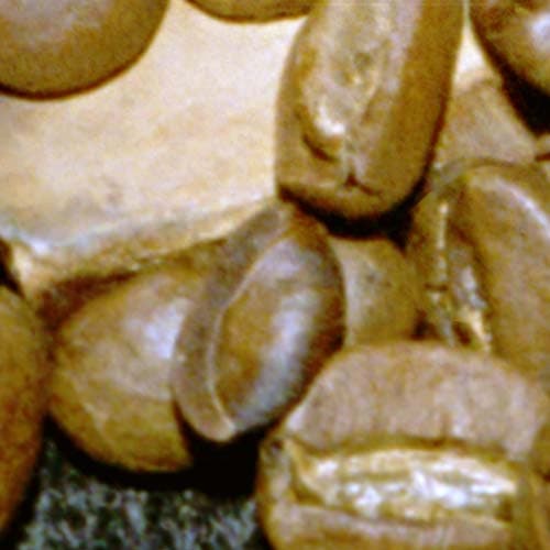 Фрагмент 1:1