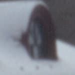 Epson Perfection 1670