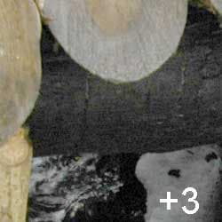 фрагмент 1:1