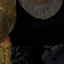 фрагмент 1:1