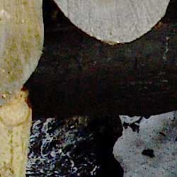 фрагмент 1:1