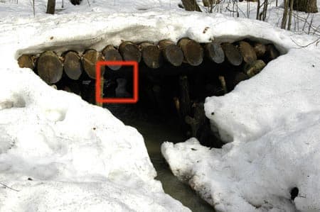 Полный кадр