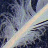 фрагмент 1:1