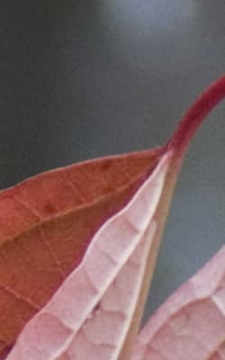 Panasonic Lumix DMC-FZ30