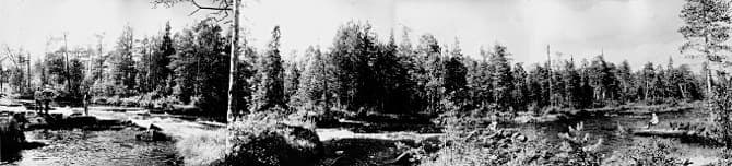 Река Беломорская Шуя