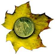 сканограммы