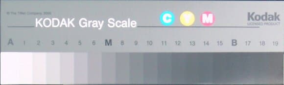 Тестовые шкалы