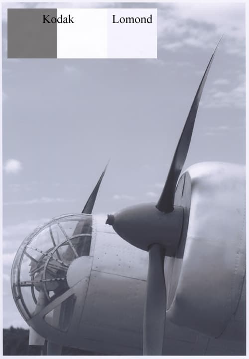 Отпечаток как его видит сканер