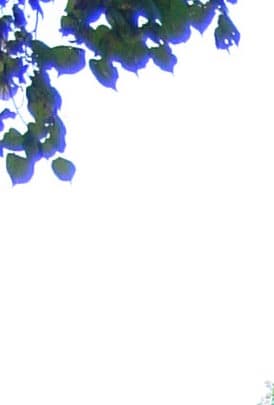 хроматические аберрации