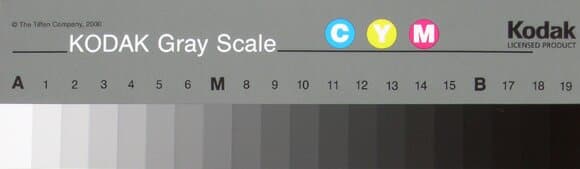 тестовые шкалы