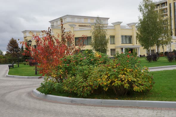 Sony Alpha Форум