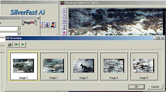 SilverFastAi пакетная обработка