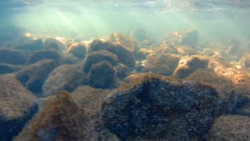 Экшн-камера AC Robin Zed2