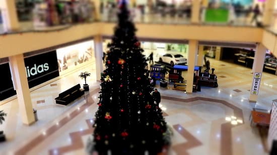 Видеосъемка фотоаппаратом Canon EOS 750D