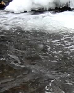 Видеосъемка фотоаппаратом Canon EOS 7D Mark II