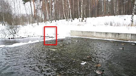 Видеокамера Canon EOS C100