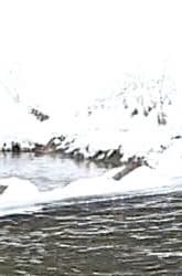 Видеокамера Canon EOS C100