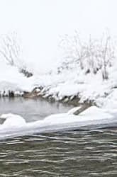 Видеокамера Canon EOS C100