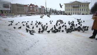 Видеокамера Canon EOS C100