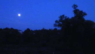 Видеокамера Canon Legria HF-R56