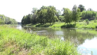 Видеокамера Canon Legria HF-R56