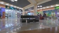 Видеокамера Canon Legria HF G40