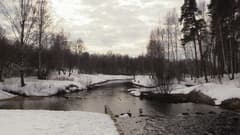 Видеокамера Canon Legria HF G40