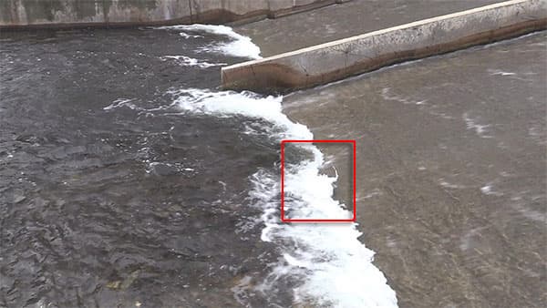 Видеокамера Canon Legria HF G40