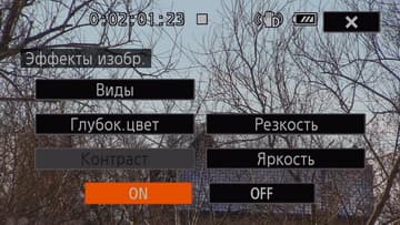 Видеокамера Canon Legria HF G40