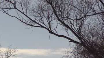 Видеокамера Canon Legria HF G40