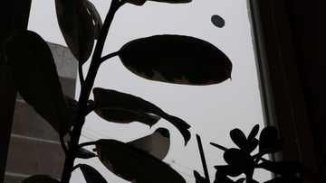 Видеокамера Canon XC10